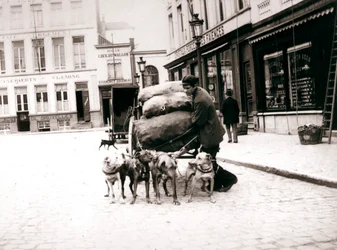Mies koirakärryillä, Antwerpen, 1898
