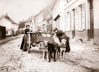 Naiset ja koirakärryt, Antwerpen, 1898