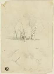 Puuryhmasto