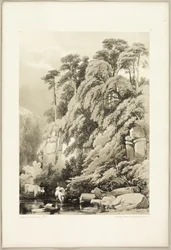 Wych Elm and Firs, puistosta ja metsästä