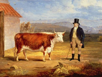 Herra James Hodges ja hänen kaksivuotias Hereford-hiehonsa, n. 1843