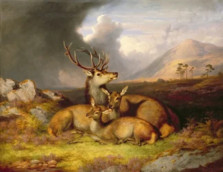 Highland Felicity, taustalla Ben Lebrig
