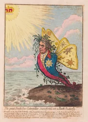 The Great South Sea Caterpillar, muutettu Bath Butterfly -pubiksi. 1792 (käsinvärinen kaiverrus)