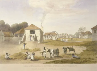 Mill Yard, Holland Estate, St. Thomas idässä