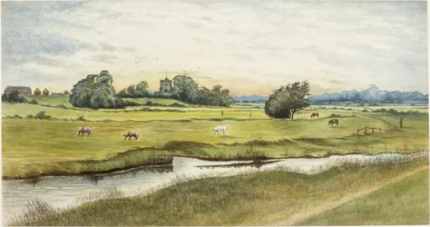Ryton Meadows (akvarelli ja vartaloväri paperille)