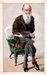 Charles Darwinin muotokuva