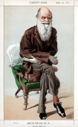Luonnonvalinta, 1871.