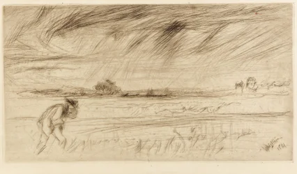 Myrsky