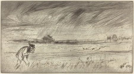 Myrsky