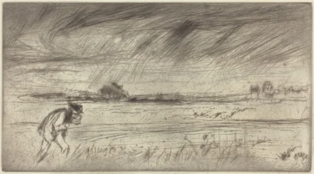 Myrsky