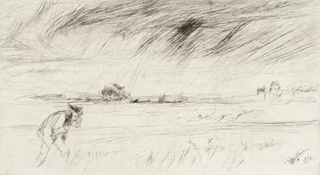 Myrsky