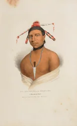 MA-KO-ME-TA eli Karhun öljy; Monomonien päällikkö, julkaisusta The Aboriginal Portfolio.