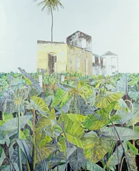 Ruin in a Swamp, Haiti, 1971