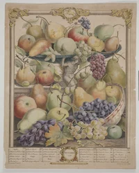 Marraskuu 1732
