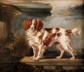 Portrait of Dash, suosikki spanieli, Lady Frances Vane-Tempestin omaisuus