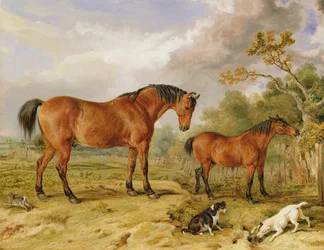 Reformerin, Blucherin, Toryn ja Cribin muotokuva, Rowland Alstonin omaisuus, Esq.