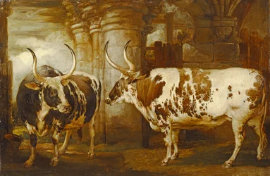 Muotokuvia kahdesta poikkeuksellisesta härästä, Earl of Powisin omaisuutta