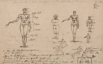 Anatomian, mittausten ja kirjoittamisen opinnot