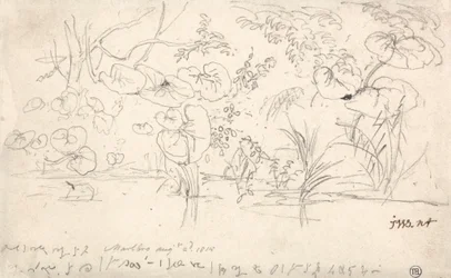 Studies of Plants, 2. elokuuta 1815