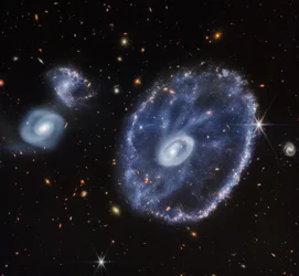 Cartwheel Galaxy (vain NIRCam)