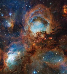 NASA:n Webb raapii Cat