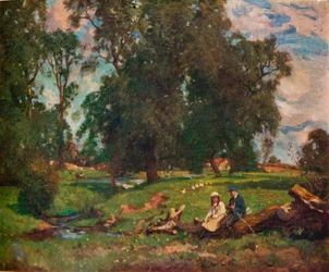 Niitty, 1900-luku