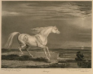 Marengo, Celebrated Horsesista, taiteilijan julkaisema neljätoista kilpakuvasarja, 1823-24