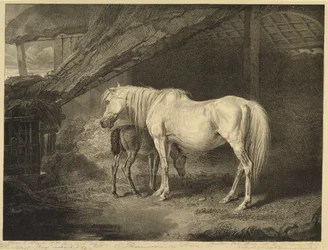 Primrose and Foal, Celebrated Horsesista, sarja neljätoista kilpajulistetta, jonka taiteilija julkaisi, 1823-24