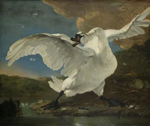 Uhana joutsen, noin 1650