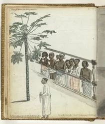 Papaijapuu, asianosaiset Dessavessa ja "hennikap" tai vapaa palvelija Colombossa