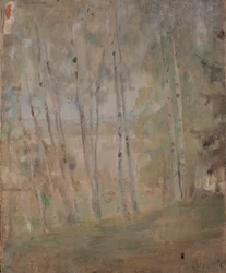 Mariino - koivuja