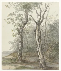 metsäinen maisema