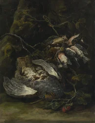 Pelto ja pienet riistalinnut, 1650-luku.