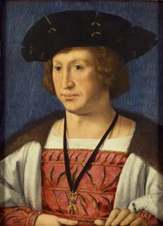 Floris van Egmond 1469-1539, Burenin kreivi, 1536