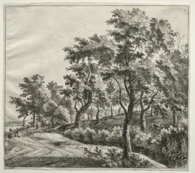 Kapea virta