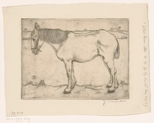 Hevonen