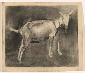 Seisova vuohi, oikealla