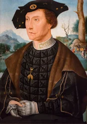 Muotokuva Jan van Wassenaerista, Leidenin viskonttia, Friisinmaan kuvernööriä