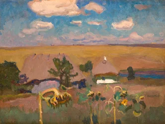 Auringonkukat