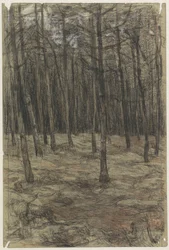 metsäinen maisema