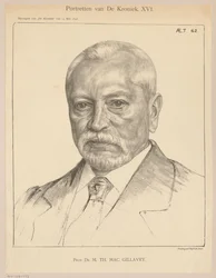 Theodorus Hendrik Mac Gillavryn muotokuva 62-vuotiaana