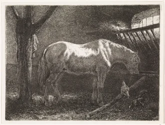 Hevonen tallissa