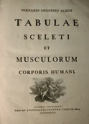 Albinus I, nimiölehti, teoksesta 