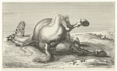 kaatunut hevonen Dead Horses (sarjan nimi)