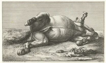 Kuollut hevonen makaa vasemmalla kyljellään Dead Horses (sarjan nimi)