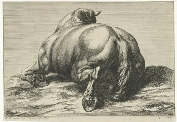 Kaatunut hevonen vatsalla takaa katsottuna Dead Horses (sarjan nimi)