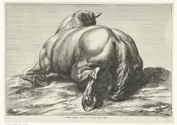 Kaatunut hevonen vatsallaan takaa katsottuna Fallen Horses (sarjan nimi)