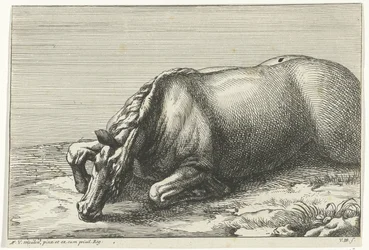 Kuollut hevonen näkyy vasemmalla Dead Horses (sarjan nimi)