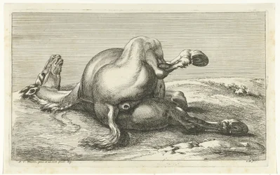 Kuollut hevonen takaa katsottuna Dead Horses (sarjan nimi)