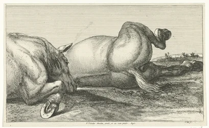 Kaksi kuollutta hevosta makaavat toistensa takana Dead Horses (sarjan nimi)